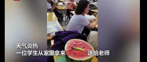 小朱老师吃瓜视频,揭秘娱乐圈幕后故事
