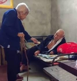 老爷爷吃老汉瓜视频,老爷爷与老汉瓜的温馨互动瞬间