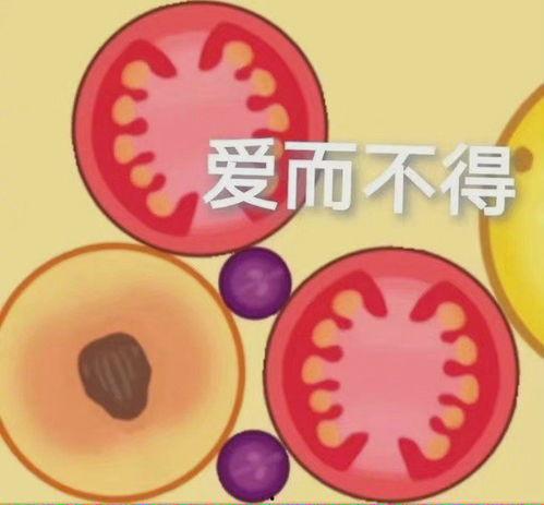 合成大西瓜吃瓜视频,吃瓜视频中的趣味与创意碰撞