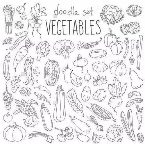 吃瓜的手帐怎么画的视频,跟随“吃瓜”视频绘制趣味插画