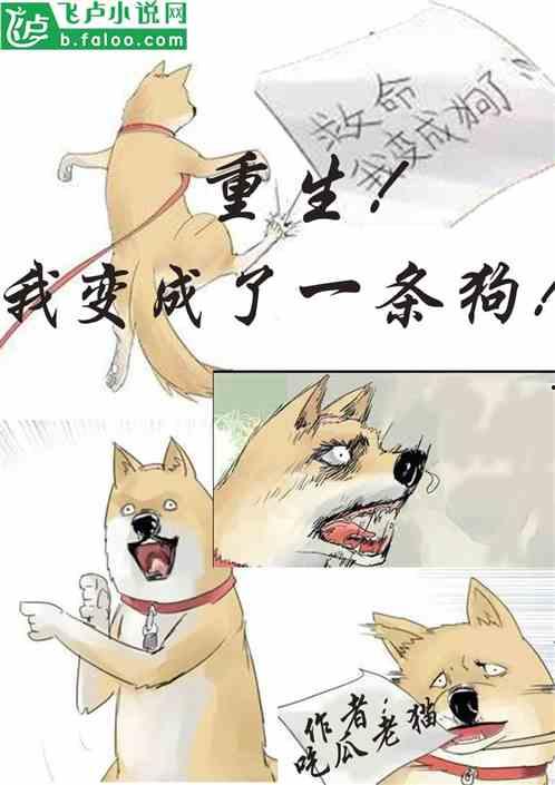 老瓜瓜吃瓜故事视频大全,揭秘娱乐圈那些不为人知的幕后真相