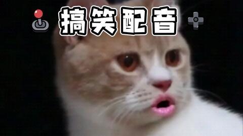 吃瓜沙雕搞笑视频大全,笑料横生！吃瓜沙雕搞笑视频大盘点