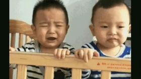 吃瓜沙雕搞笑视频大全,笑料横生！吃瓜沙雕搞笑视频大盘点