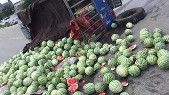 商丘柘城吃瓜事件视频,一场引发热议的网络视频风波