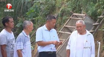 近日金寨吃瓜新闻视频,揭秘当地热门事件背后的真相