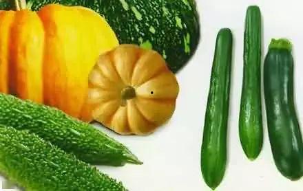 吃二瓜的危害视频大全图片,图文警示大盘点