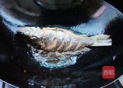 吃八瓜鱼脚倒放视频,趣味视频带你领略海洋生物的另类魅力