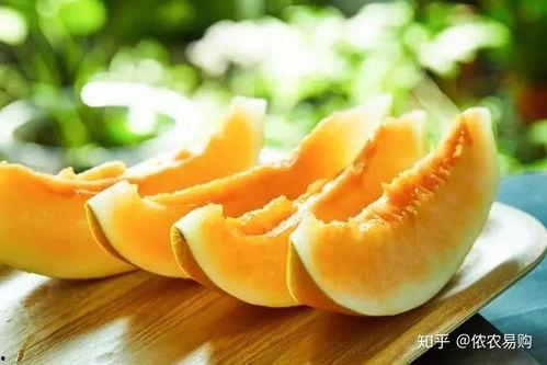蜜瓜夏天怎么吃最好吃视频