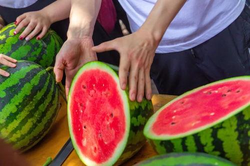 辽宁大学吃瓜视频,揭秘校园生活趣味瞬间