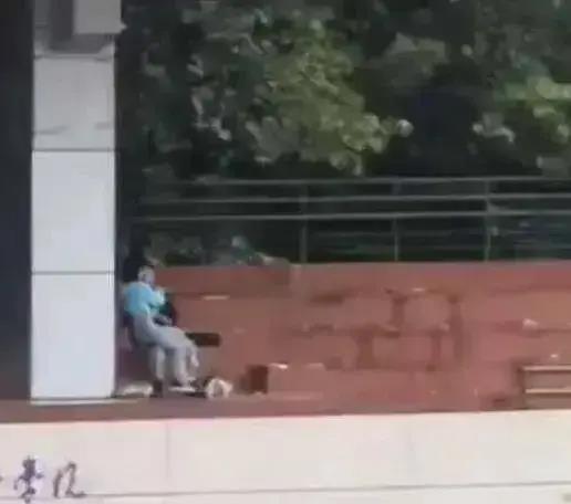 辽宁大学吃瓜视频,揭秘校园生活趣味瞬间