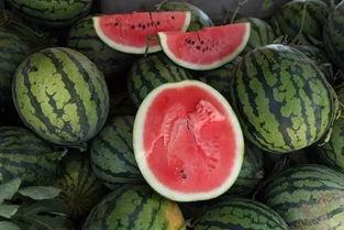 界首吃瓜视频俩小孩,俩小孩演绎童真趣味