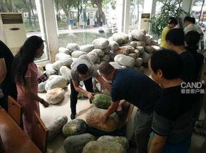 大学生围观吃瓜视频大全,大学生围观吃瓜视频大盘点