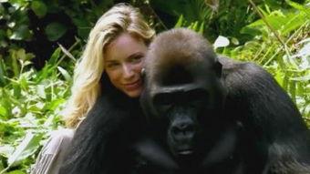 美女吃瓜变成大猩猩视频,惊悚视频揭秘神秘异变之谜