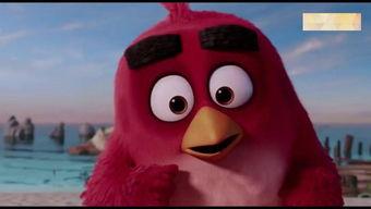 呆瓜吃鸡小熊怎么玩视频,轻松上手攻略视频解析