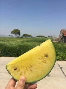 网红云南蔡总吃瓜视频,揭秘网红圈幕后故事