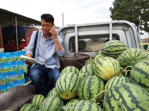 网红云南蔡总吃瓜视频,揭秘网红圈幕后故事