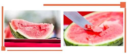 莱州沙河幼师视频吃瓜,莱州沙河幼师吃瓜事件全解析